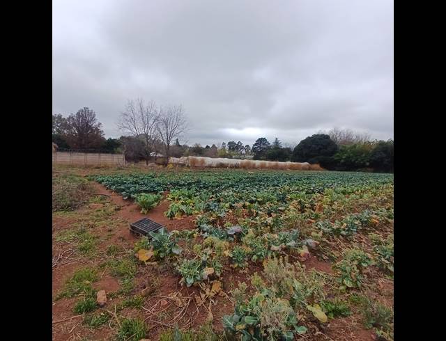 4,064M² VACANT LAND FOR SALE IN HENLEY ON KLIP